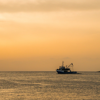 Introduction to commercial fishing